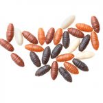 Drennan Buoyant Casters-Buoyant Casters-Drennan-Irish Bait & Tackle